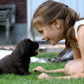Voor de eerste keer naar buiten met de pups, tussen Lena en onze dochter Benthe begint de liefde te groeien. 