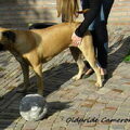 Ca de Bou
