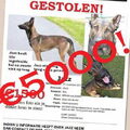 jazz Buitenhuis vermist