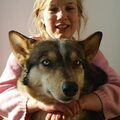 American Indian Dog