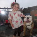 Old English Bulldog