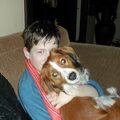 Kooikerhondje