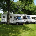 Camperverhuur (goedkoop) met hond (Ruinerwold)