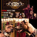 American Staffordshire Terrier