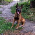 Leon