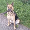 Leon