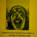 workshop TTouch voor honden
