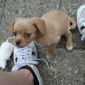 ons Puck