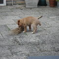 ons Puck