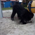 Pip in de speeltuin