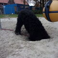 Pip in de speeltuin