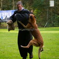 Mechelse Herder