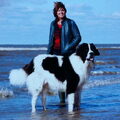 Landseer ECT