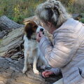 Kooikerhondje