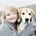 Hondenweekend op de Mariahoeve!