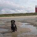 Oudeschild TEXEL