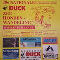 Zeehondenwandeling
