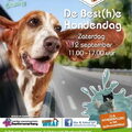 De Best(h)e Hondendag