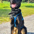 Geen Beschrijving