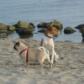 Even rusten...en dan gaan we weer
