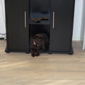Cacao had haar plekje snel gevonden, toen ze hier in huis kwam. Lekker in de kast van het aquarium. Helaas past ze er nu allang niet meer in.
