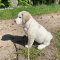 Eerste stappen...