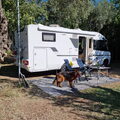 Hond mee in de camper