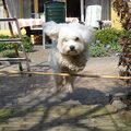 joehoe!!! lekker springen is té gek!