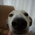 Verdina wilde wel erg close op de foto hahah