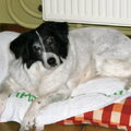 Onze lieve meid