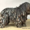Bergamasco