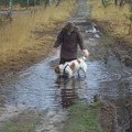 honden foto Dit vind ik reuze !!