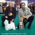 honden foto Daar werd ze beste pup op de internationale Winnershow in Amsterdam, we zijn heel trots!