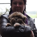 honden foto 