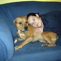 honden foto 