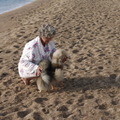 honden foto Zooo een heerlijke vakantie met de hondjes in Spanje pal aan de zee.