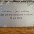 honden foto 