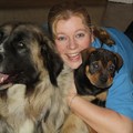 honden foto Max, Baz en ik


