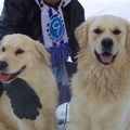 honden foto jessy en haar vriendje lobbes