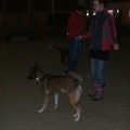 honden foto Puppiecursus. Jmmr genoeg niet zo goed te zien. 19-02-2011