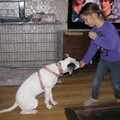 honden foto goed zo Lady :)