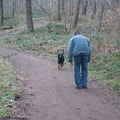 honden foto Praktijkgerichte les. Commando Hier leren in de omgeving waar het in het verleden problematisch was. Deze werkwijze staat hoog in het vaandel bij hondenschool Pacco. 