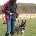 honden foto op training met mijn dochter