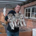 honden foto Hupla ons baasje heeft ons te pakken , mooi kijken en klik!!!