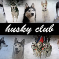 honden foto 