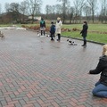 honden foto Zazou KOM!