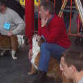 honden foto 