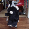 honden foto dit is de knuffel die bambi mee kreeg toen ik haar mee nam uit asiel.