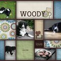 honden foto Voor Silke & Woody