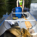 honden foto 